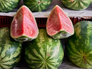 انتبه لهذه الأسرار قبل شراء البطيخ