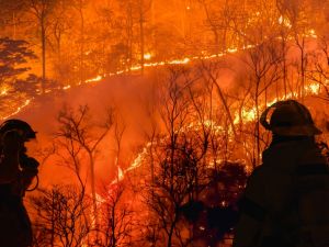 Wildfires