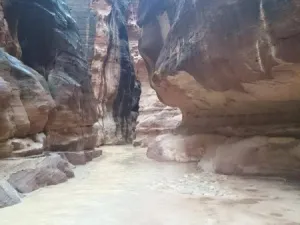 البترا