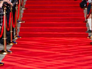 إطلالات المشاهير في مهرجان كان السينمائي 2025