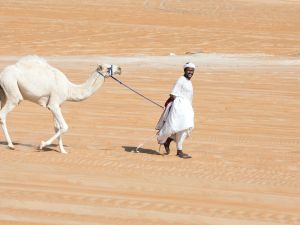 الإمارات: إعفاء رعايا السودان من غرامات تصاريح الإقامة
