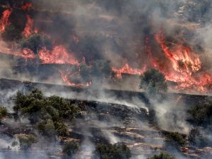 Israeli settlers launch major attack on Deir Dibwan, injuring 35 and causing widespread destruction