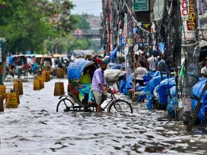 Bangladeshi 