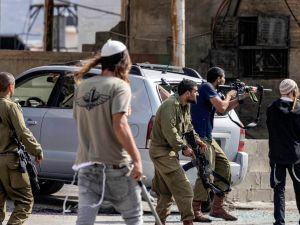 اعتداء مستوطنين على بلدة سنجل