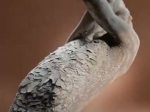 Sanex shower gel ad causes fuss in the UK