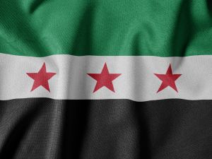 شخص يتجول بسيارته المرسيدس في حرم الجامع الأموي