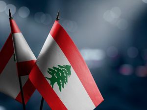 الرئاسة ترد على مبعوث أميركي بعد وصف الصحفيين اللبنانيين بالحيوانات..