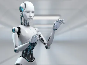 Robot