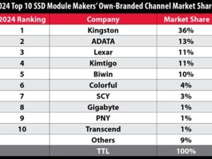 Kingston Digital leads Channel SSD Shipments in 2024