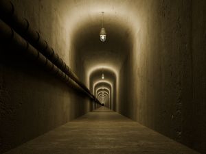 إسرائيل اعتقلت وقتلت عددا من عناصر حماس في رفح