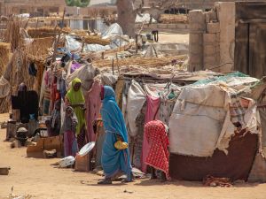 منظمة الهجرة الدولية: نزوح المئات في جنوب كردفان