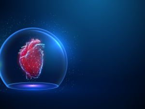 كيف تحافظ على قلبك صحيًا: أهم النصائح