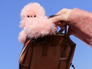 "ميرومي" بديل "لابوبو"… الروبوت العاطفي الذي يسيطر على موضة 2026