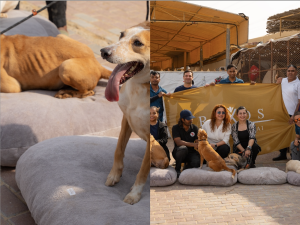 Rixos Premium Dubai Marks the New Year with a Heartfelt Visit to Umm Al Quwain’s Stray Dog Center