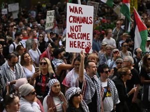 Pro-Palestinian protest