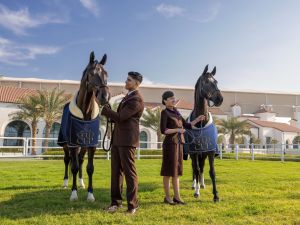 الاتحاد للطيران راعياً رسمياً وشريكاً مقدّماً للسباق الأول في سباق كأس أبوظبي الذهبي