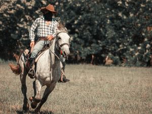 تفسير حلم ركوب الخيل والجري به للرجل