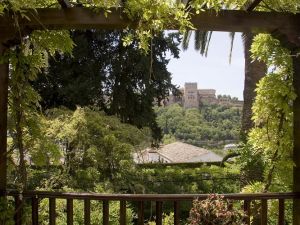 مؤسسة قطر وجامعة غرناطة تفتحان باب التقديم لجائزة رضوى عاشور للأدب العربي