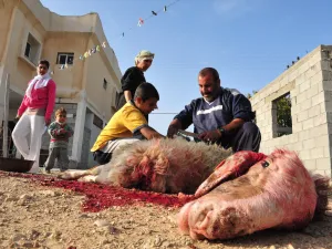 السلامة أثناء الذبح.. إرشادات مهمة لتجنب الحوادث في العيد