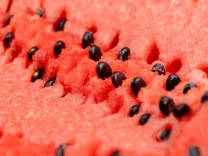 كنز غذائي نرميه دون أن ننتبه… بذور البطيخ تستحق فرصة ثانية!