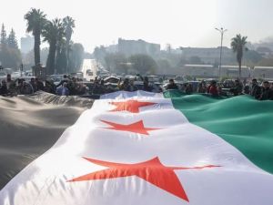 حشد من السوريين يحملون علم سوريا 