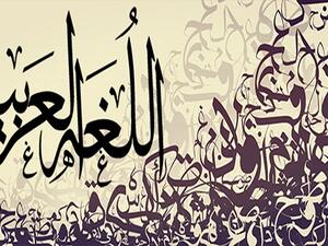 ميار الببلاوي حامل