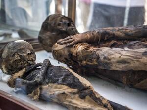 Mummies on display outside a newly-discovered tomb dating to the Ptolemaic era (323-30 BC) at the Diabat necropolis near the city of Akhmim in Egypt's southern Sohag province, about 500 kilometres south of the capital Cairo. 
Khaled DESOUKI / AFP