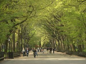 New York Central Park