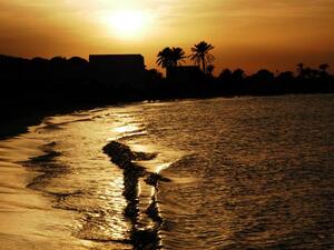 Inhabitant of Tunisia's touristic island are putting up a solid fight against the government's destructive environmental practices. (Facebook) 