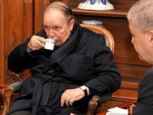 ما هي السيناريوهات المحتملة في الجزائر

