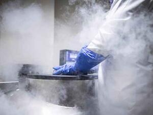 أبرز حالات فشل التكنولوجيا في 2016