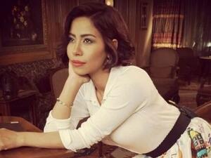 شيرين عبد الوهاب ترد على بيان الأمم المتحدة