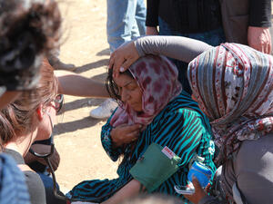 (Shutterstock/File Photo)