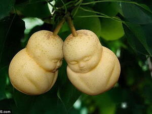 يا سلاااااام