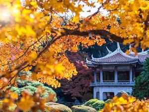 But although the elderly employee wasn't collecting money from the guests, he was still issuing them tickets (Shutterstock)