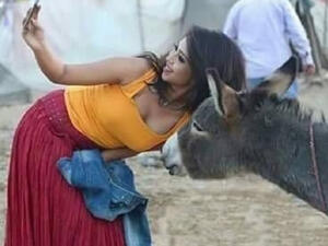 بحبك يا حمار