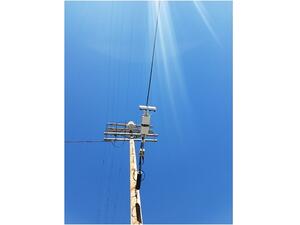 الخلايا الصغيرة