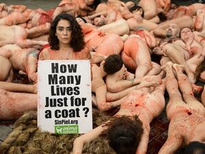 A demonstrator holds a sign as animal rights activists covered in red paint symbolising blood lie naked during a protest against the fur industry in Barcelona on December 16, 2018. 
LLUIS GENE / AFP