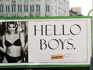 Feminist activist Julie Bindel, co-founder of legal reform group Justice for Women, said 'Hello Boys' advertising campaign was so sexist it was almost a parody (Shutterstock)