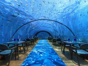 Amazing underwater restaurant (Twitter)