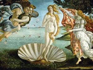 The Birth of Venus (Twitter)