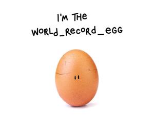 World Record Egg (Twitter)