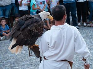 First falconry training center (Shutterstock)