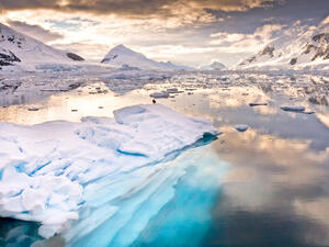 Arctic (Shutterstock)