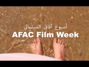 As part of the AFAC Film Week, which finished in Cairo last week, two panel discussions raise issues of local distribution, digital alternatives, social justice, and how films can create change. (YouTube)