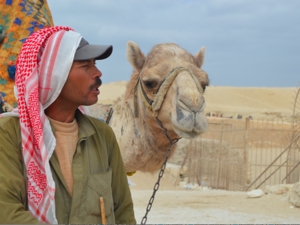 The first story by Ahmed, from Egypt, highlights the life of a camel driver near the famous Pyramids in the Giza area. 