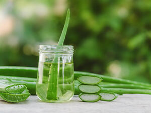 تعتبر الألوفيرا من أهم العلاجات للشعر الجاف والتالف