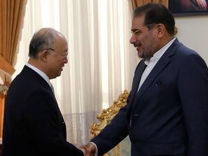 Iranian Secretary of the Supreme National Security Council, Ali Shamkhani, right, shakes hands with the head of the UN's atomic watchdog Yukiya Amano during a meeting in Tehran on July 02, 2015. (AFP/Atta Kenare)