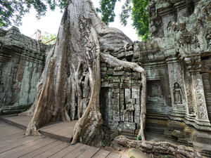 A visit to Siem Reap in Cambodia won’t cost you an arm and a leg.  (Shutterstock/Tonv)