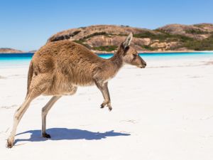 (Shutterstock/ File Photo)